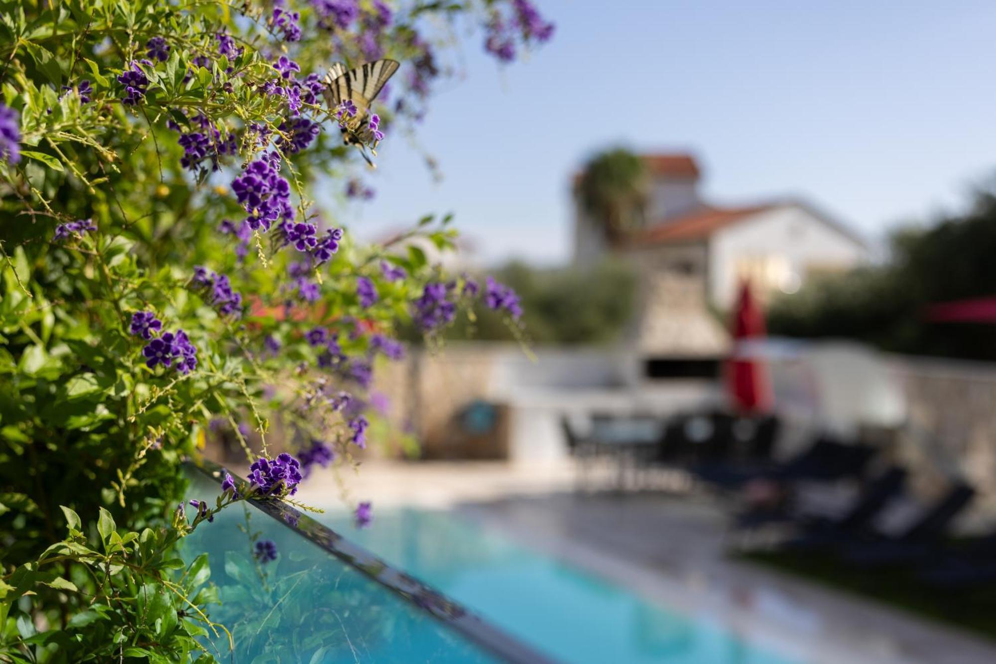 Villa Aqua Жаборич Екстериор снимка